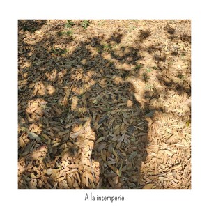 A la intemperie (Explicit)