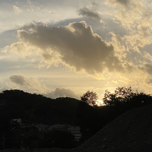 하루만 사랑하고 싶어 (feat. 김찬호)