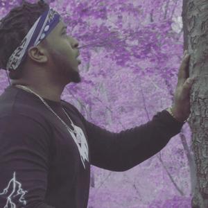 Purple Trees (Explicit)