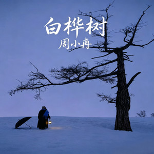 白桦林 (酒吧现场版)