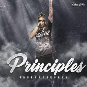 Principles (Explicit)