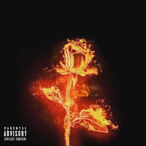 Without You (Explicit)