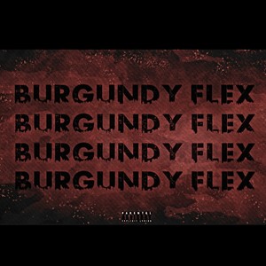 BURGUNDY FLEX the WASHINGTON COMMANDERS Song (Commanders Anthem) #commanders #washingtoncommanders #burgundyflex