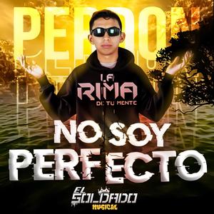 No Soy Perfecto