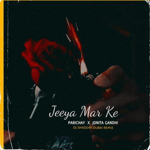 Jeeya Mar Ke(Tum Mile Dil Khile)(feat. Jonita Gandhi) (DJ Shadow Dubai Remix)