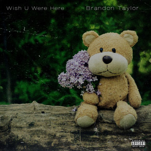 Brandon Taylor - Wish U Were Here (Explicit)
