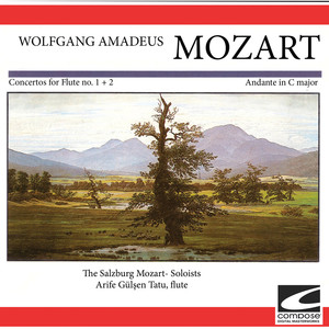 Concerto for flute and orchestra no. 2 in D major KV 314 -Allegro