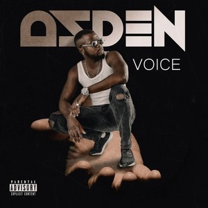 Voice (Explicit)