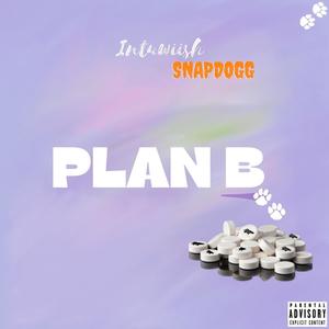 Plan B (feat. Snap Dogg) (Bronco Boy Edition) (Explicit)