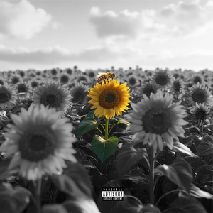 B Sting Mixtape (Explicit)