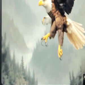 SOAR LIKE AN EAGLE