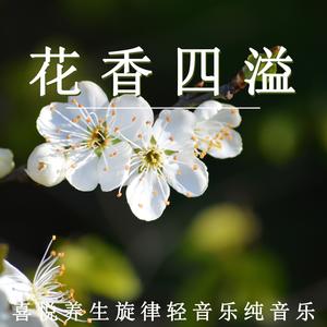 喜悦养生（钢琴）