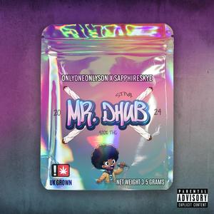 Mr. Dhub (feat. SapphireSkye) [Explicit]