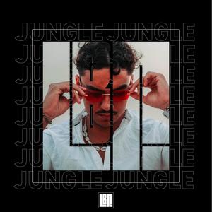 JUNGLE (Explicit)