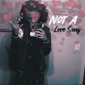 Not A Love Song (Explicit)