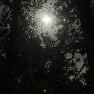 Flawless! (Explicit)