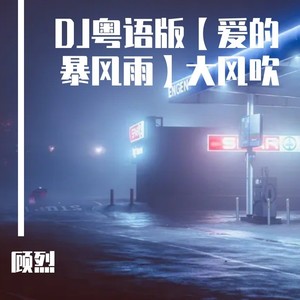 爱的暴风雨 (dj粤语版)封面