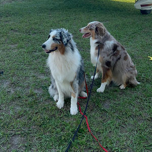 your all that i want