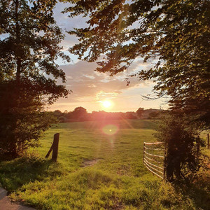 sonnenuntergang (Explicit)