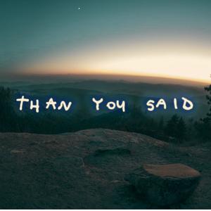 more than you said