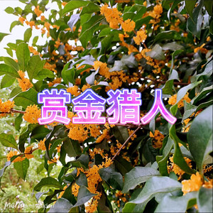 他只是经过 (憨憨版)