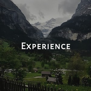 Experience