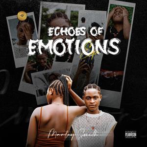 Echoes of Emotions