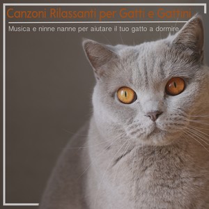 Canzoni Rilassanti per Gatti e Gattini - Musica e ninne nanne per aiutare il tuo gatto a dormire