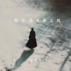你风华正茂 (我平凡渺小)