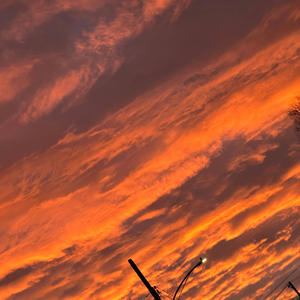 Trials & Tribulations (Explicit)