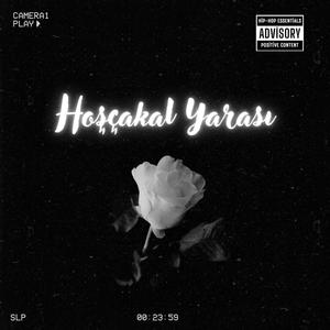 Hoşçakal Yarası (Explicit)