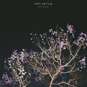 Soft Spring (Explicit)
