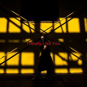 I Really Like You-Various Artists