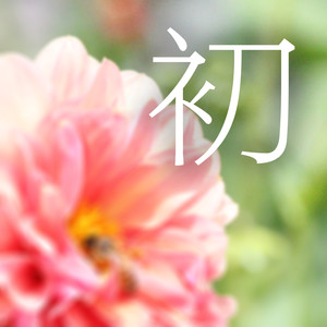 张士超卡祖笛旋律变奏