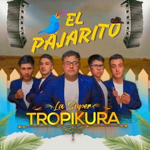 El Pajarito