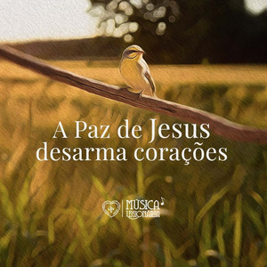 A Paz de Jesus Desarma Corações
