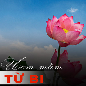 Hoa sen