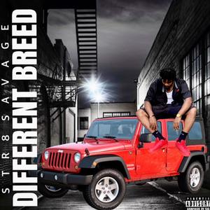 Str8Savage - No Love (Explicit)