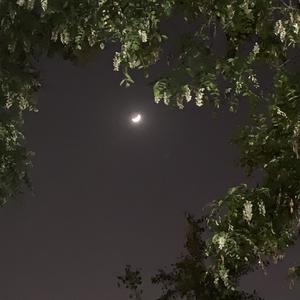 你给我睡楼道吧