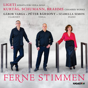 Märchenerzählungen, op. 132: IV. Lebhaft, sehr markiert