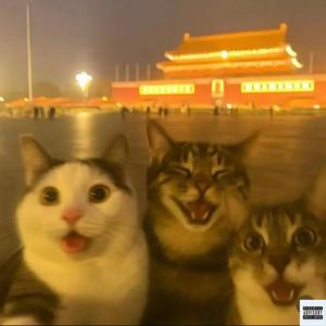 Same Energy (feat. NGU Jamar & Ziyoga) (Explicit)