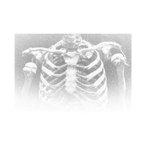 skeleton (demo)