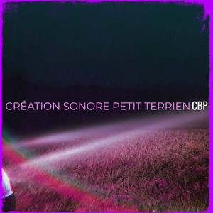 Création sonore petit terrien