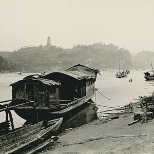 五言.阿母心悲切