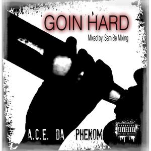 Goin Hard (mixed by Sam Be Mixing) [Explicit]