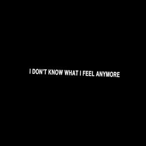 I DON'T KNOW WHAT I FEEL ANYMORE (Explicit)