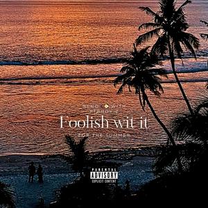 Foolish wit it (with FTB Hoy-Z) (Explicit)