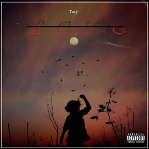 **** Love (Explicit)