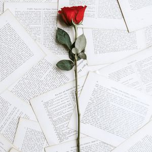 祝天下所有的情侣都是失散多年的兄妹