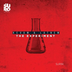 The Experiment